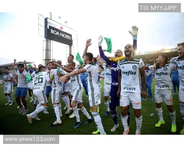 巴甲精彩对决巴西庞特普迎战维多利亚球队争夺三分之战 巴甲精彩对决巴西庞特普迎战维多利亚球队争夺三分之战