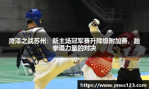 菏泽之战苏州：新主场冠军赛升降级附加赛，跆拳道力量的对决